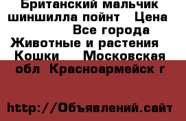 Британский мальчик шиншилла-пойнт › Цена ­ 5 000 - Все города Животные и растения » Кошки   . Московская обл.,Красноармейск г.